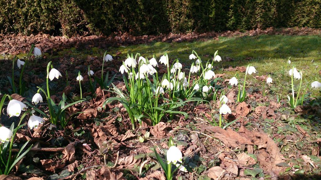 Der Platengarten อันส์บาห์ ภายนอก รูปภาพ