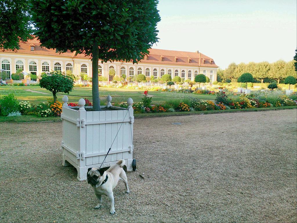 Der Platengarten อันส์บาห์ ภายนอก รูปภาพ